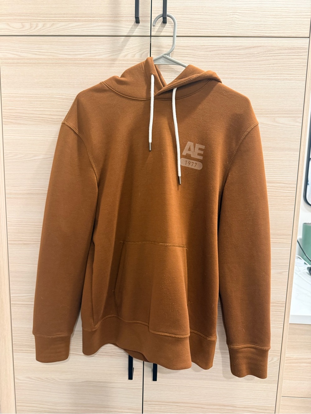 American Eagle Outfitters Men's Pullover Hoodie in Rust